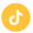 tiktok icon